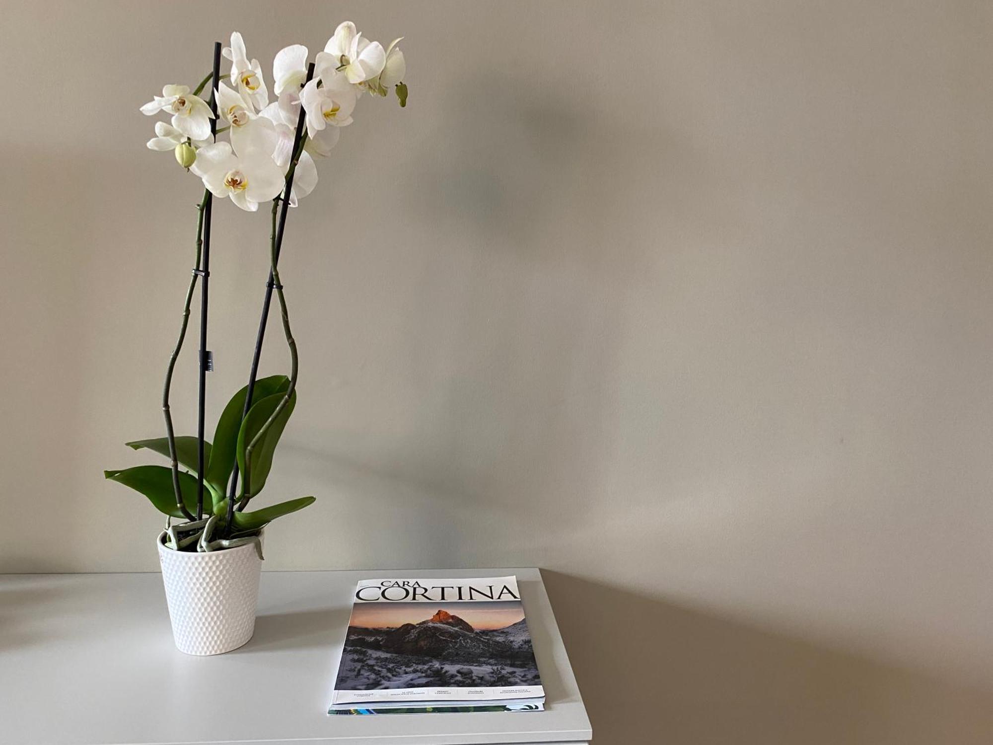 Julie'S House Lecce City Center Διαμέρισμα Εξωτερικό φωτογραφία